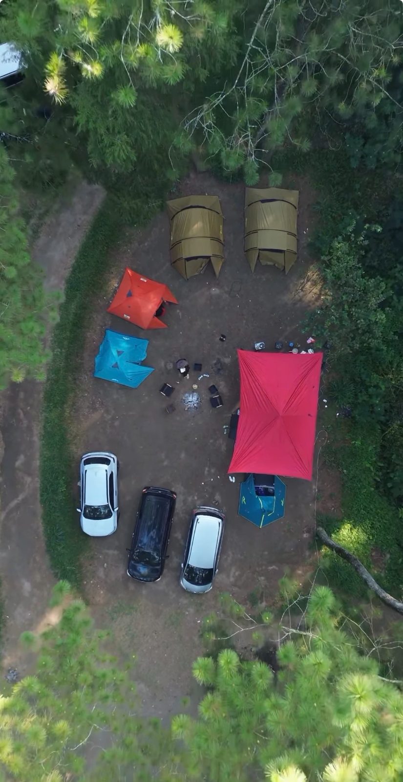 Campground I (hutan pinus)